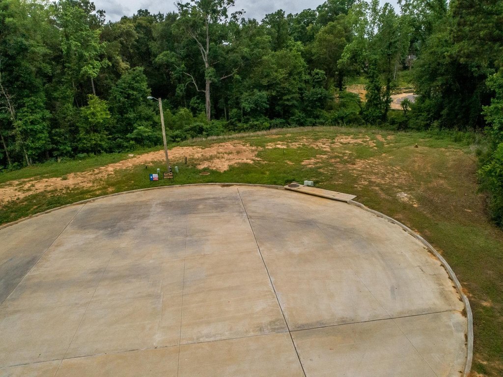 Picture 3