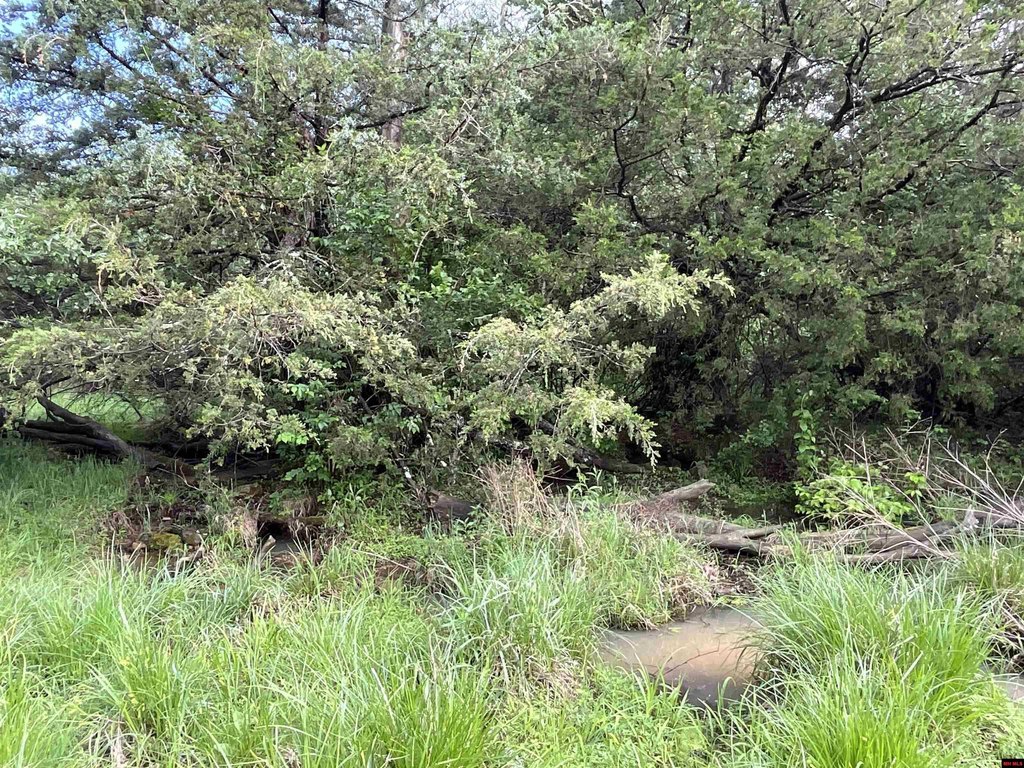 Picture 31