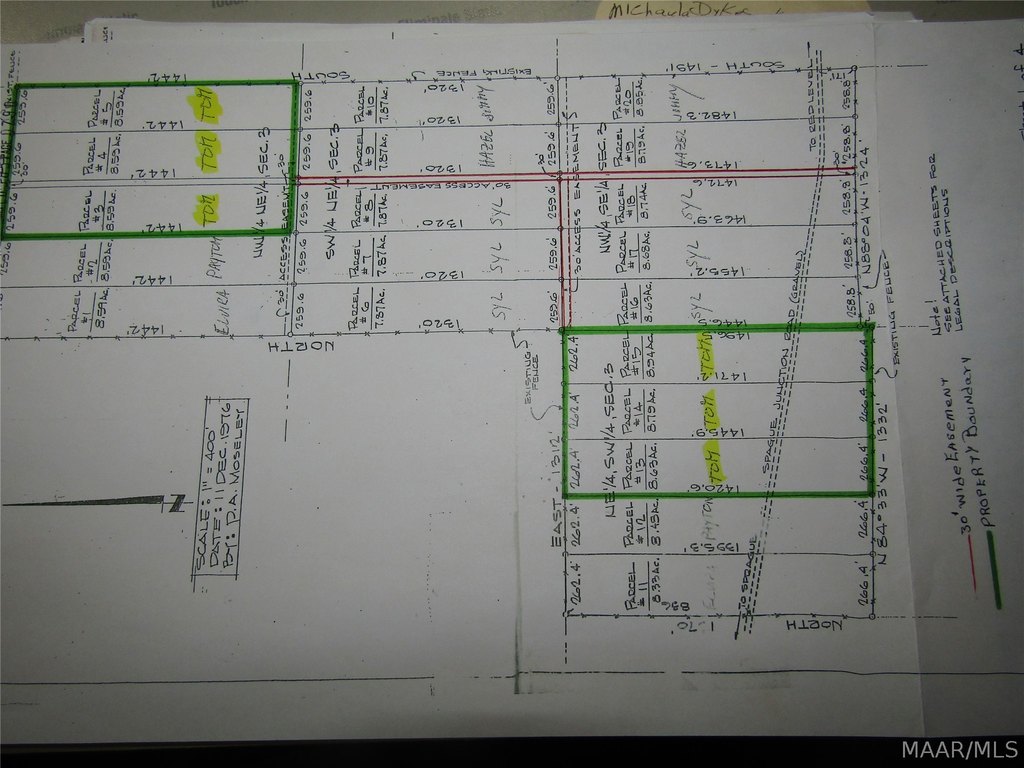 Picture 8
