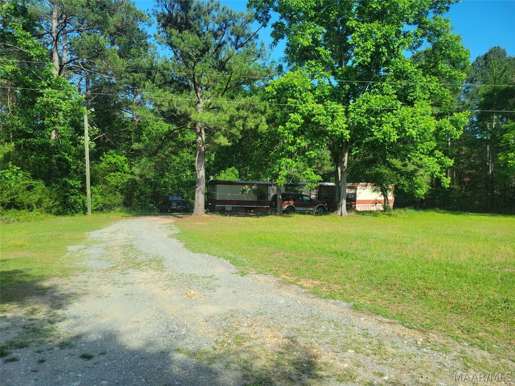 Picture 4