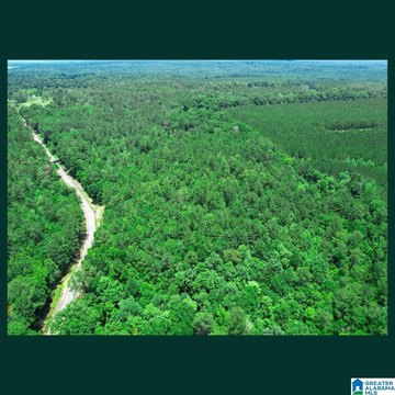 Unrestricted Wooded Land Tract