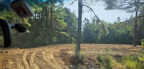 LAND - Vicksburg, MS