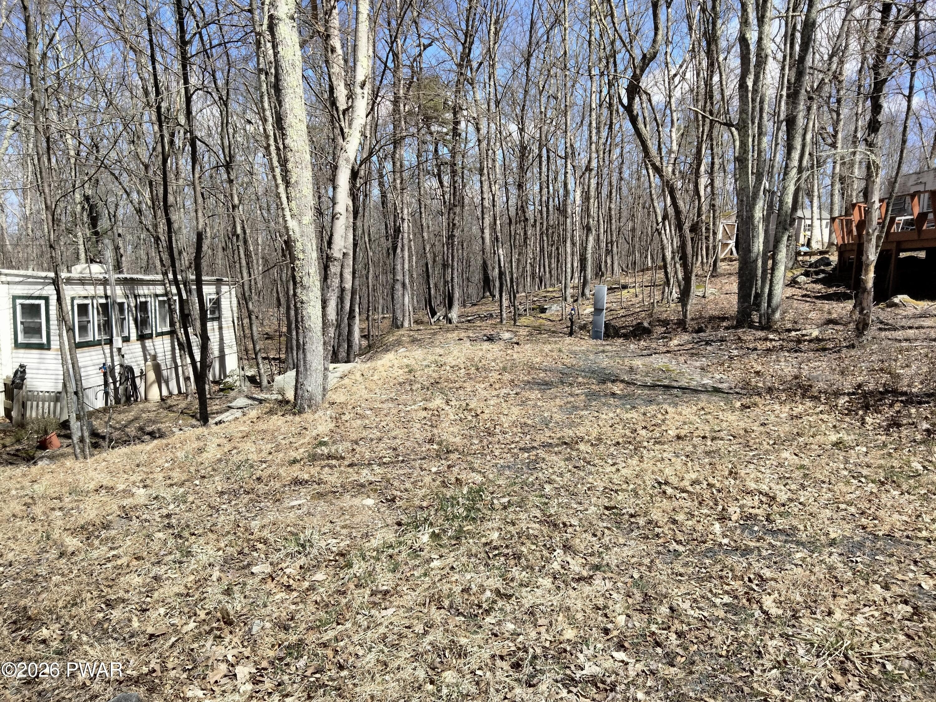 Vacant Campsite Bordering State Forest