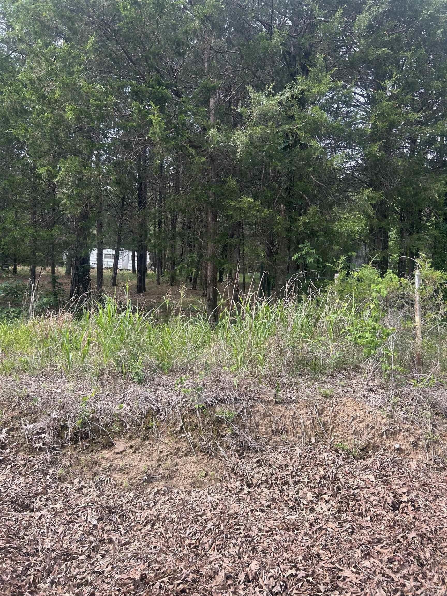 Pleasant Plains Wooded Acreage
