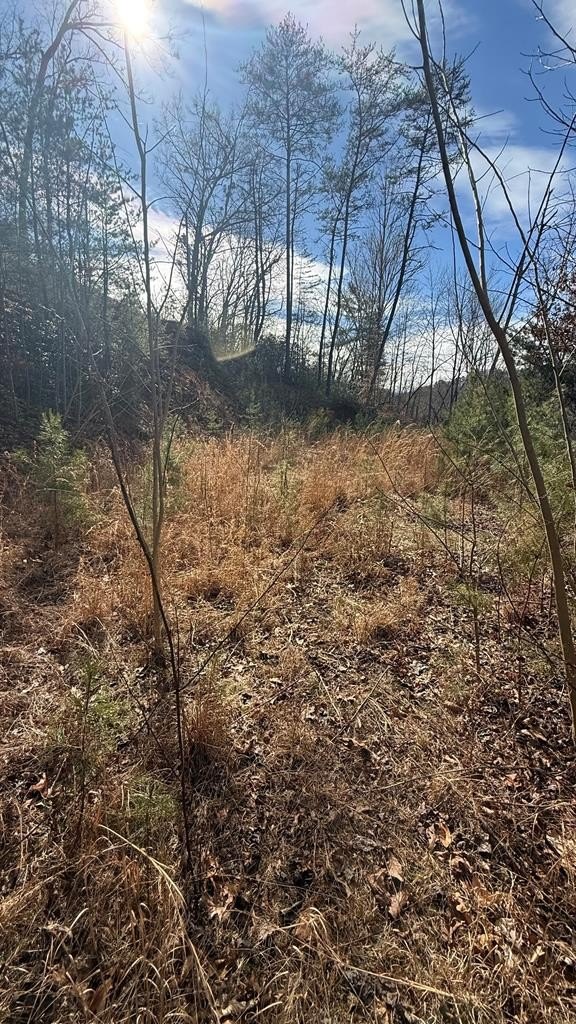 Land Near Bryson City