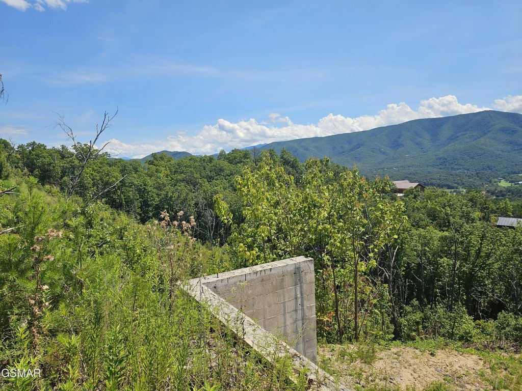 Picture 11