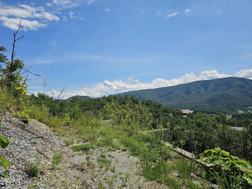 Picture 13