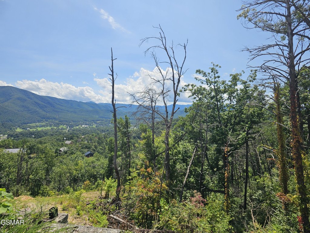 Picture 16