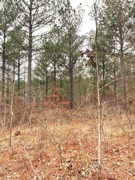 LAND - Broken Bow, OK