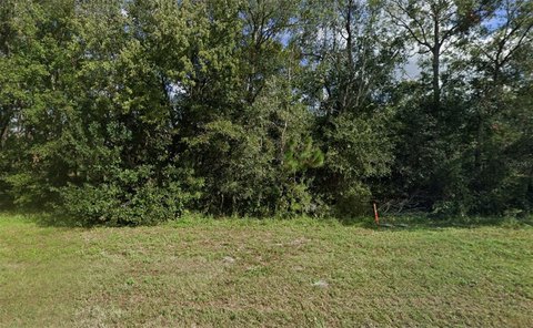 LAND - POLK CITY, FL