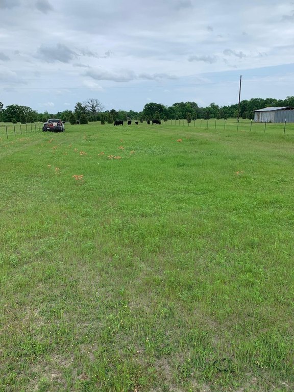 Picture 22