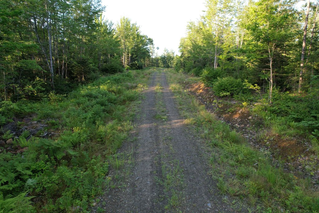 Picture 26