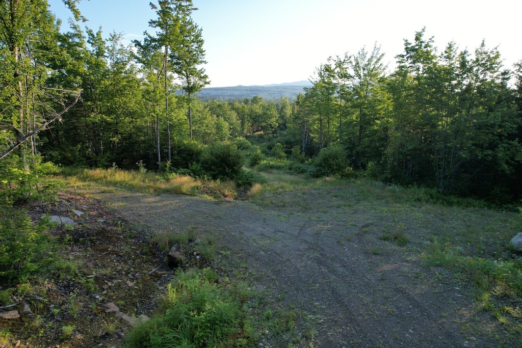Picture 10
