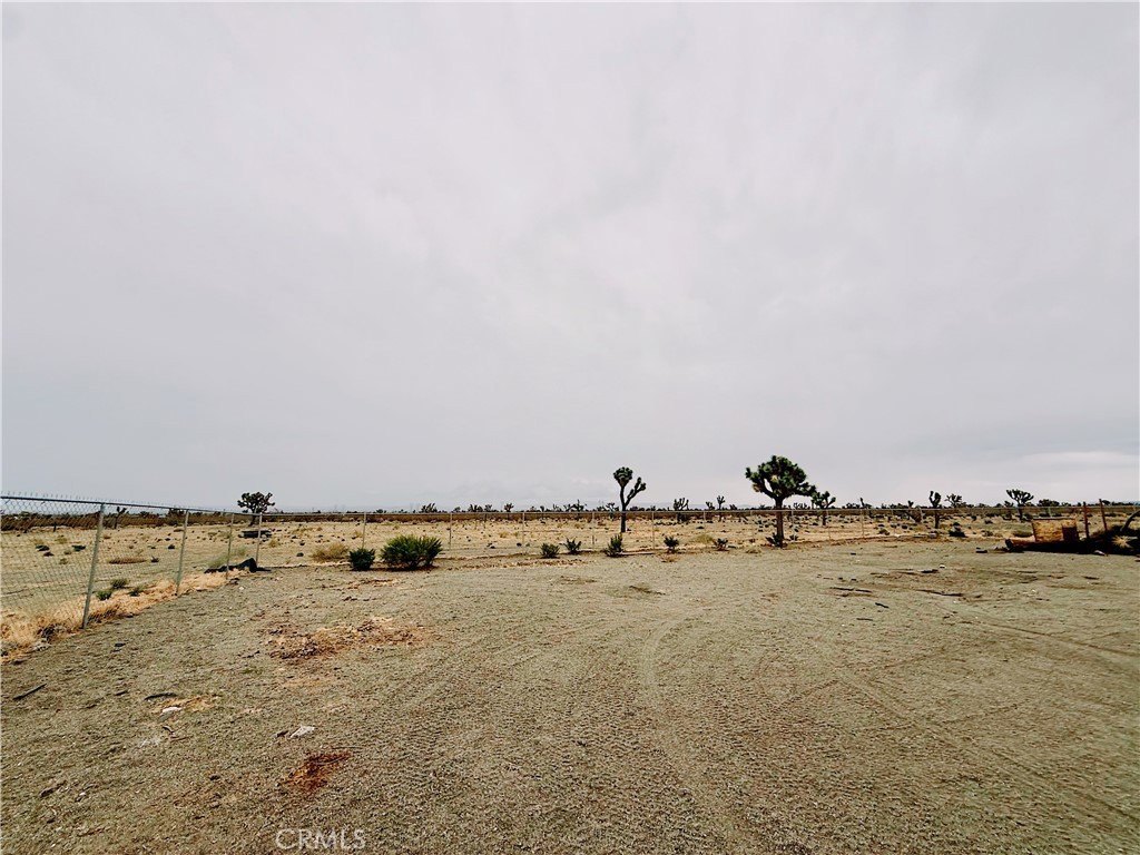 Picture 20