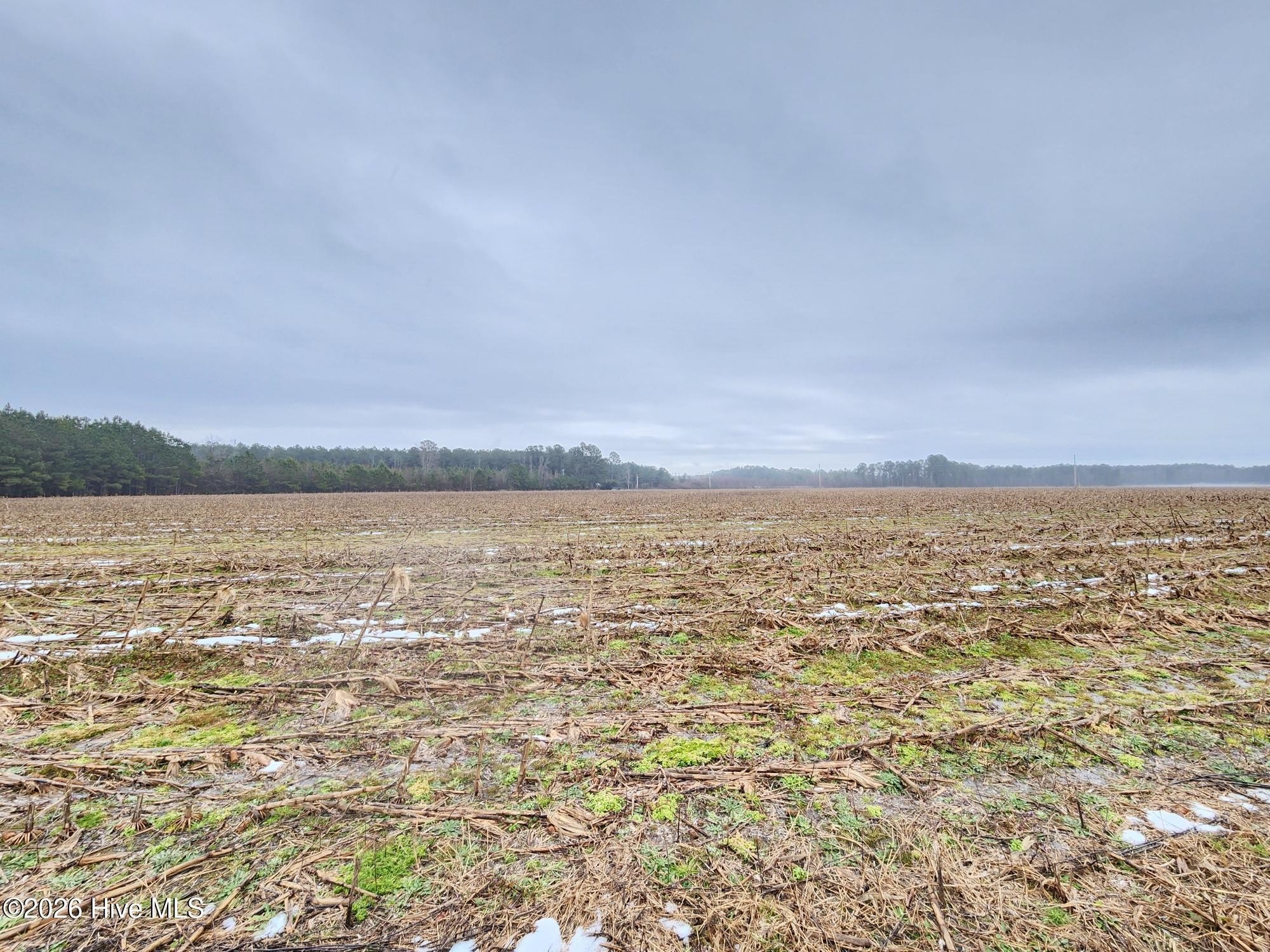 Expansive Agricultural Land in Tabor City