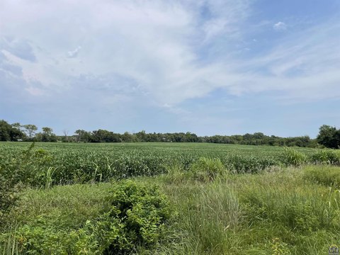 Tract Land with Blacktop Frontage