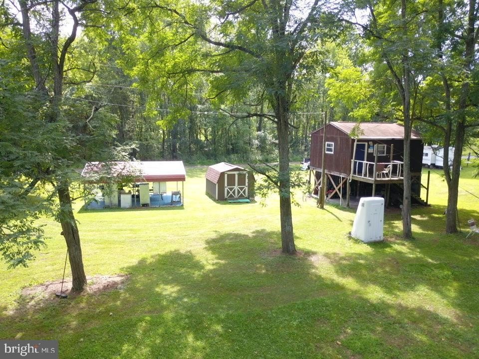 Picture 11