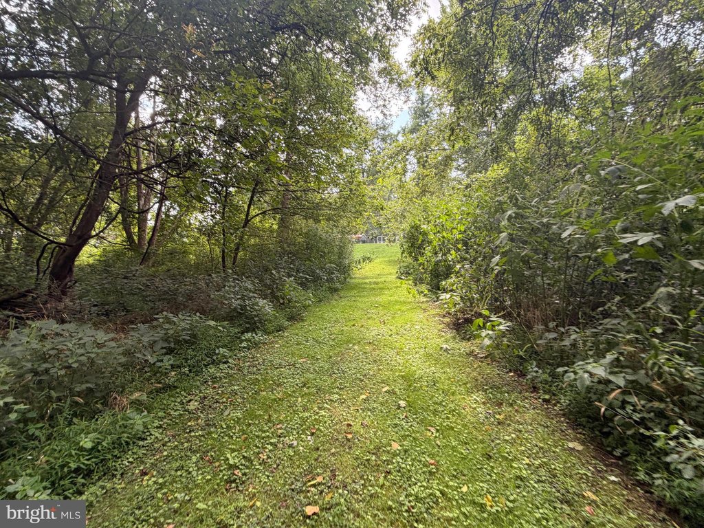 Picture 32