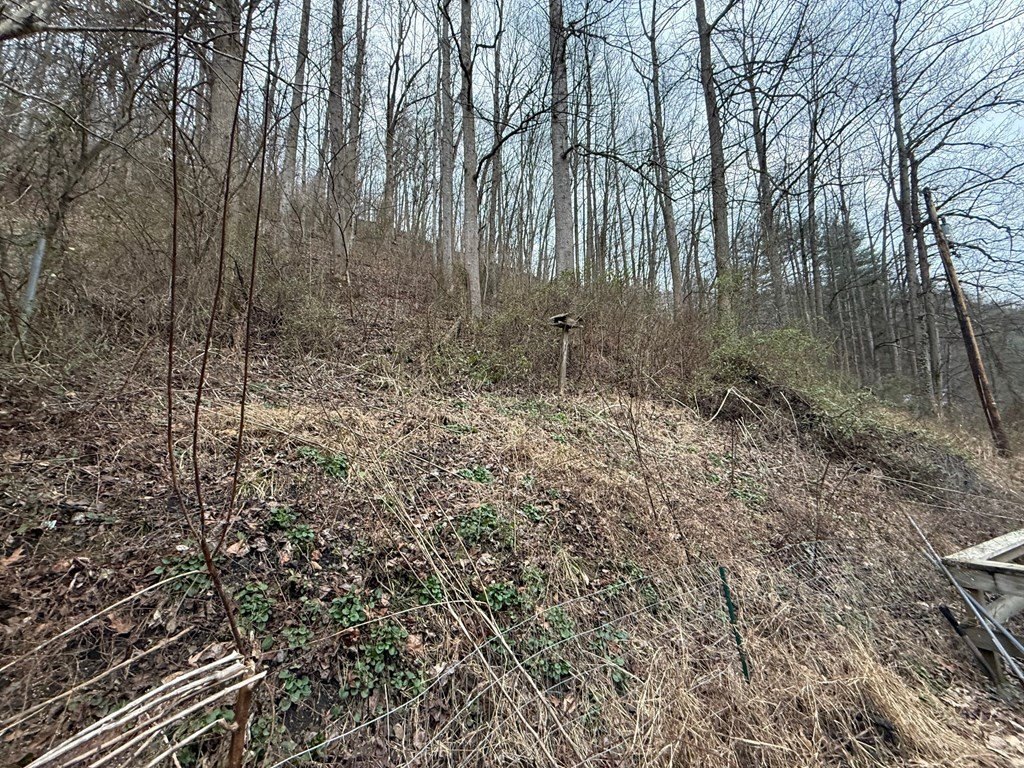 Picture 10