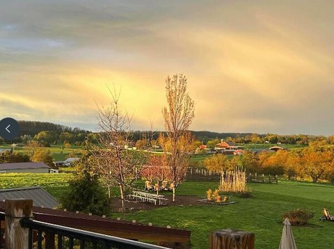 Boutique Winery with Vineyard Estate