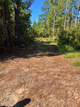 Land, Blythe, GA