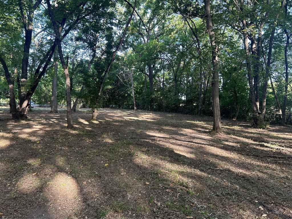 Picture 2