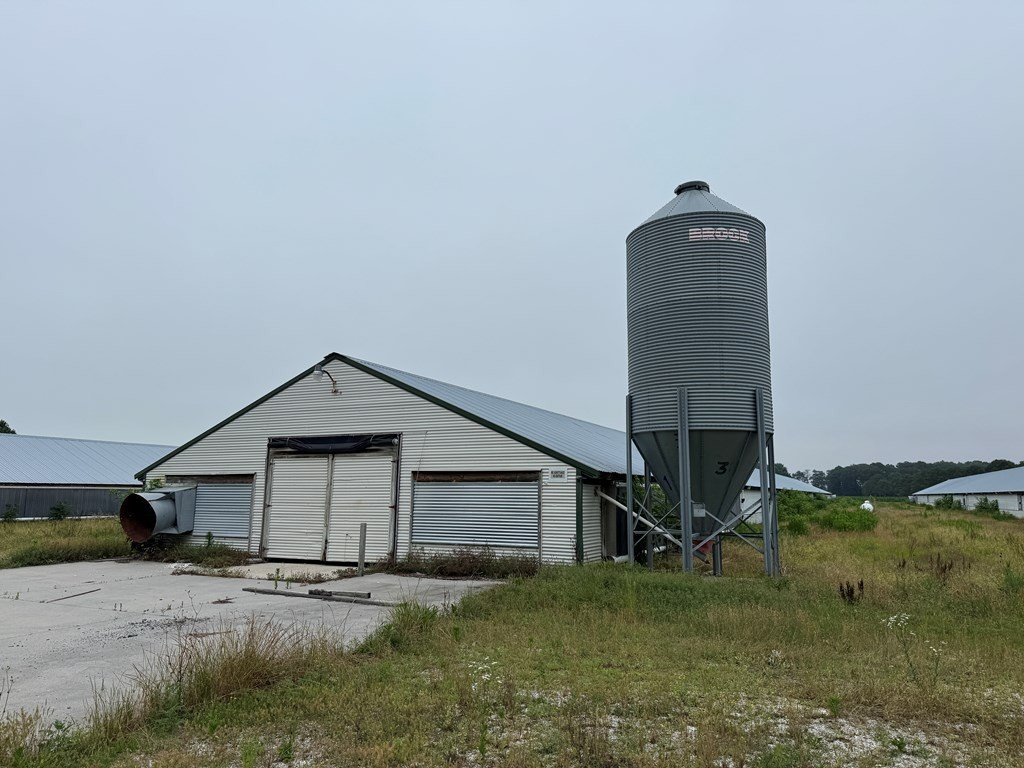 Picture 6