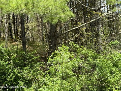 Spacious Lot in Pleasant Valley