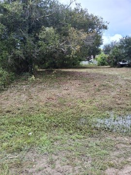 Spacious Lot in Growing Area