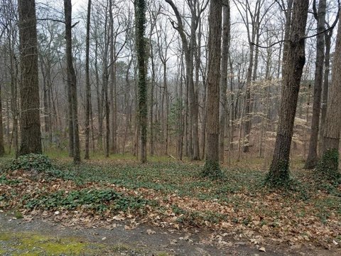 LAND - Marietta, GA