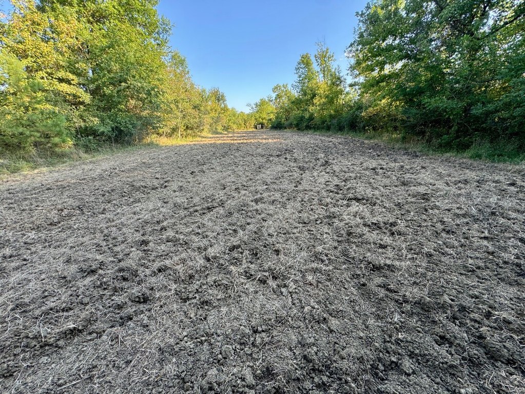 Picture 22
