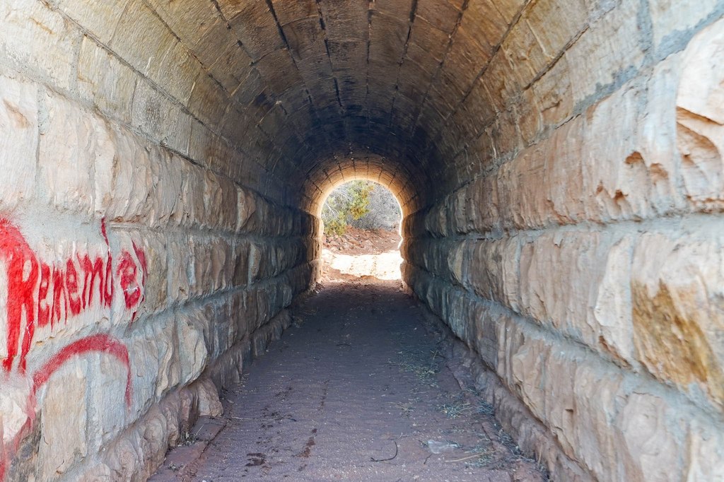 Picture 13