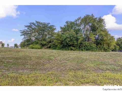 Residential Land in Chatham, IL