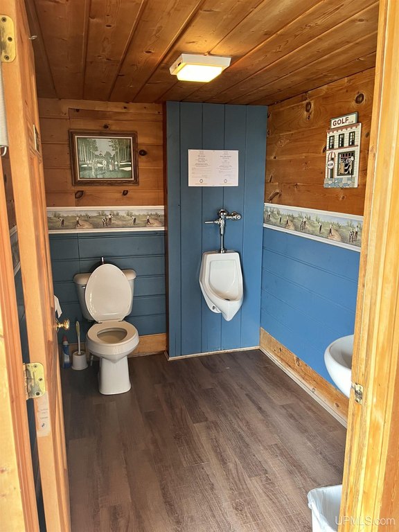 Picture 18