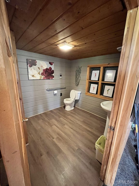 Picture 19