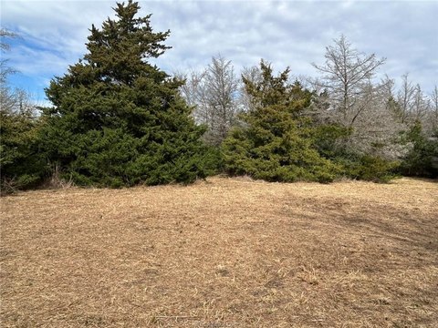 5+ Acre Wooded Tract
