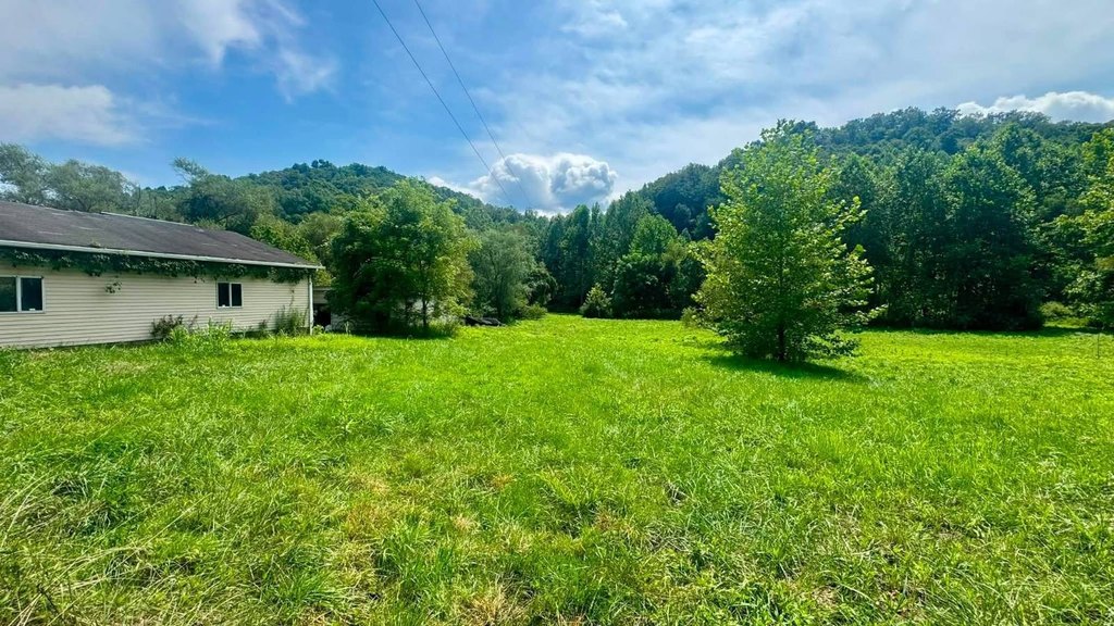 Picture 12