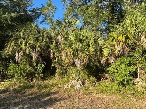 Land - NORTH PORT, FL