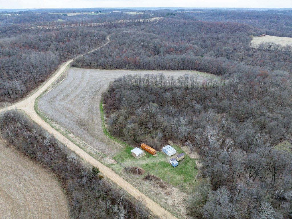 Picture 2