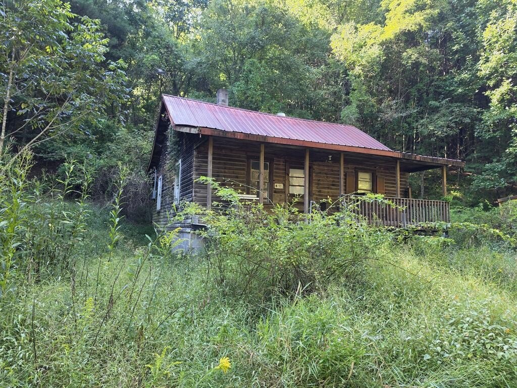 Picture 2