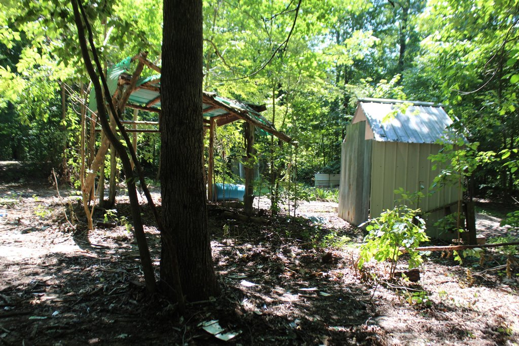 Picture 13