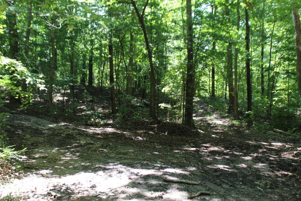 Picture 19