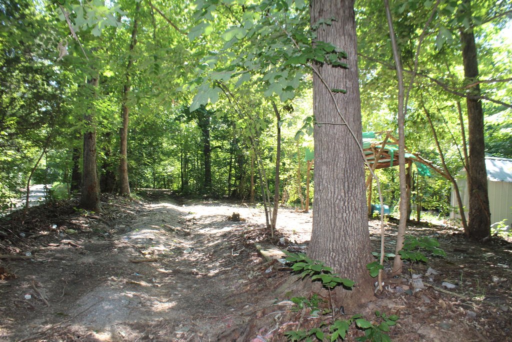 Picture 8