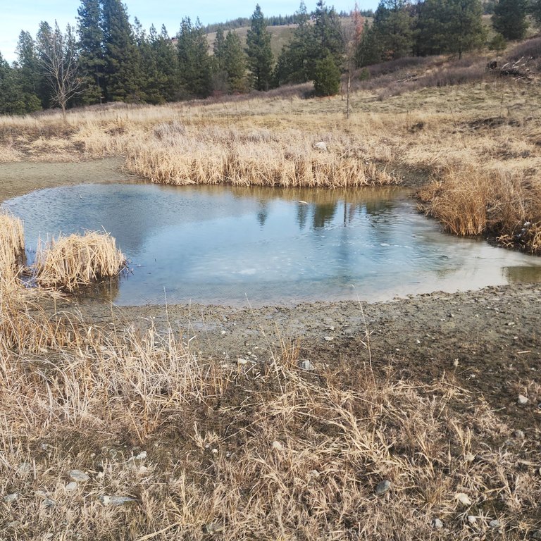 Picture 11