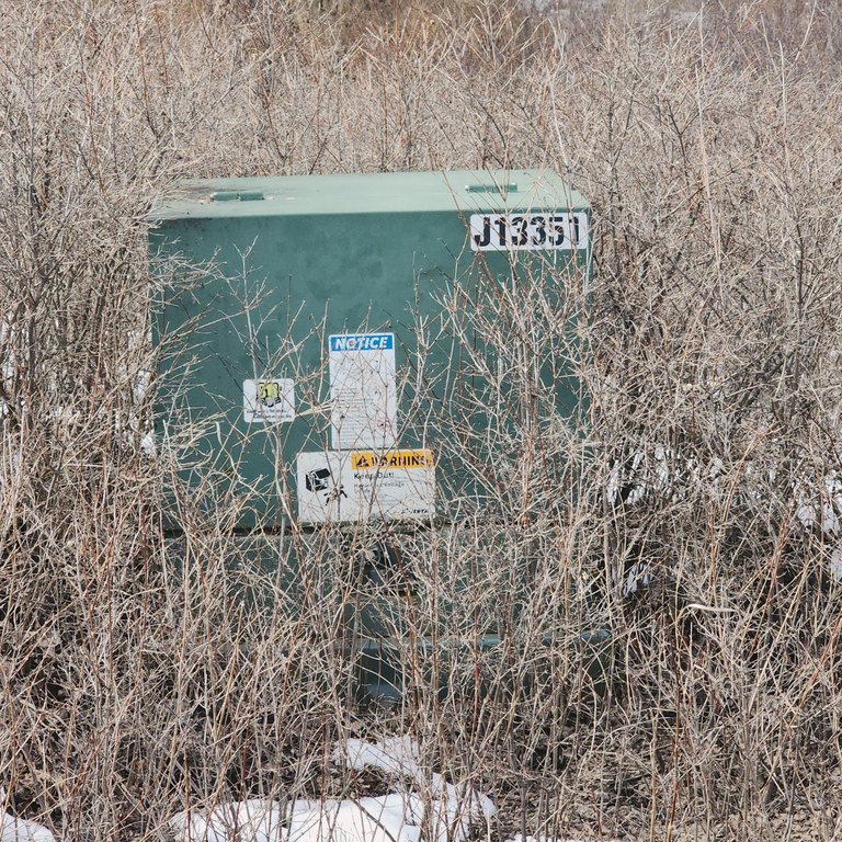 Picture 19
