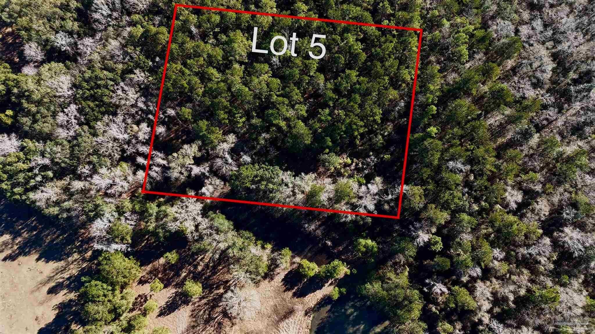 Pace, FL Wooded Land Parcel