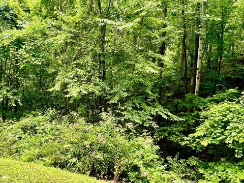Hiawassee, GA Vacant Lot
