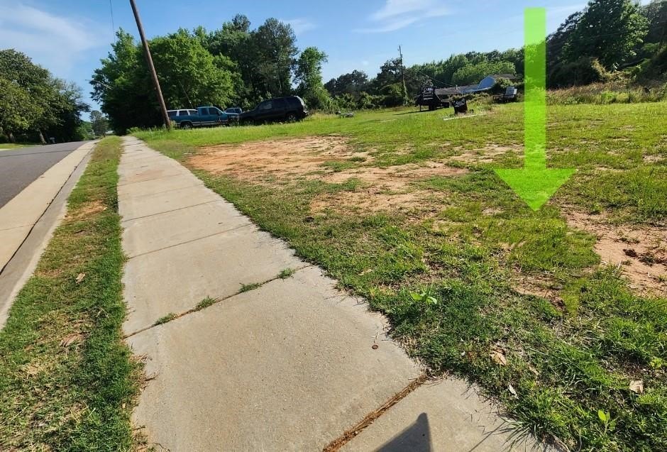 Picture 7