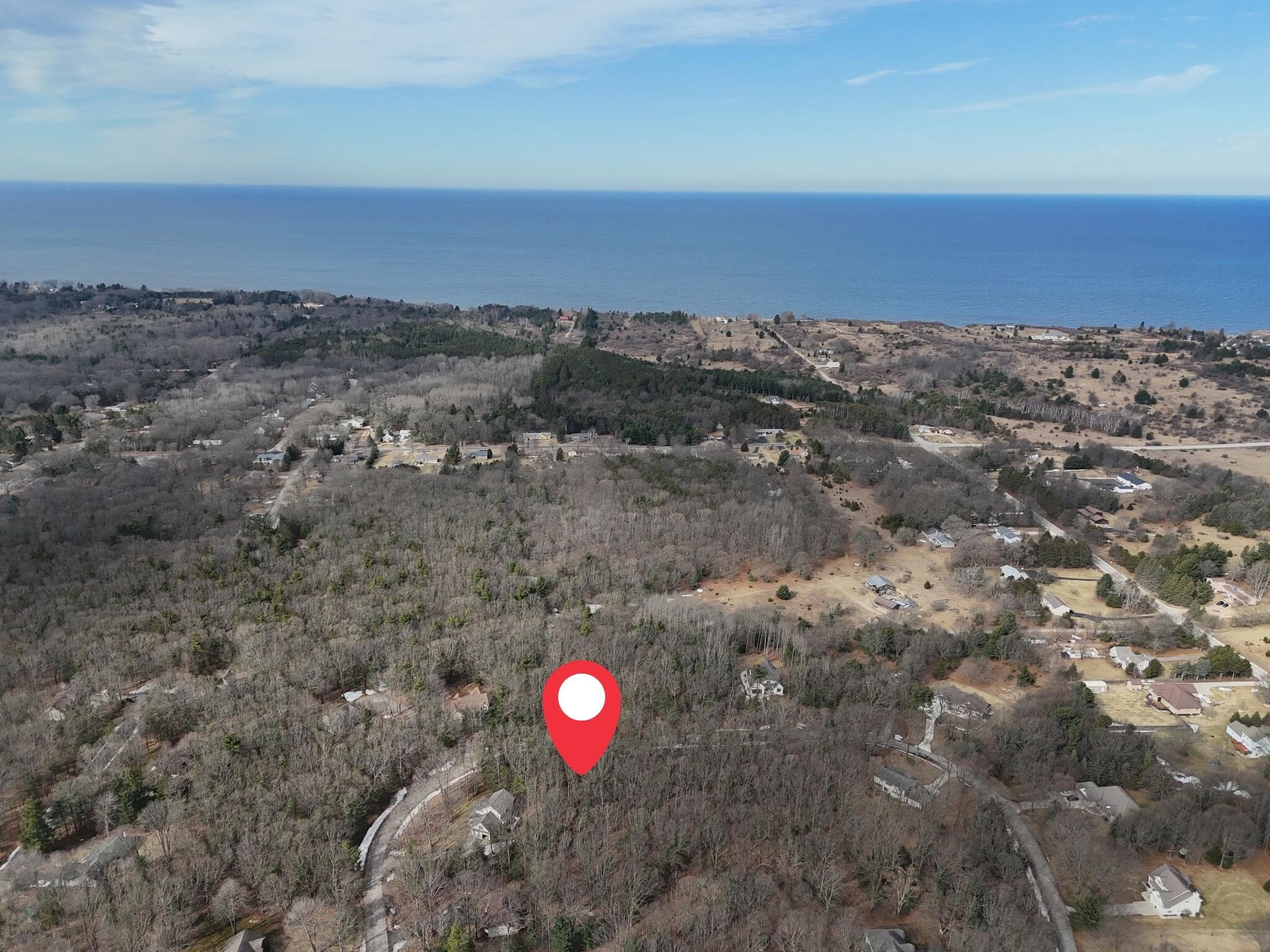 Heavily Wooded Vacant Lot