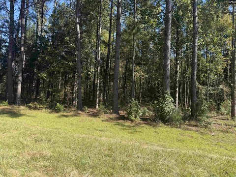 LOTS AND ACREAGE, Kinards, SC